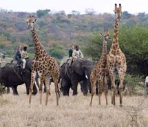 Caption: Safaris with African Travel, Inc. ensure that visitors have an authentic experiences. // © 2011 African Travel, Inc Sm